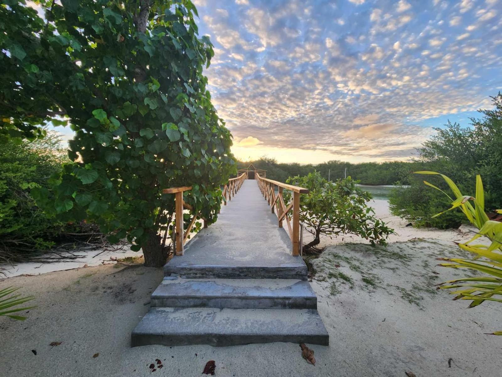 Hotel Surf Deck à Thulusdhoo Extérieur photo